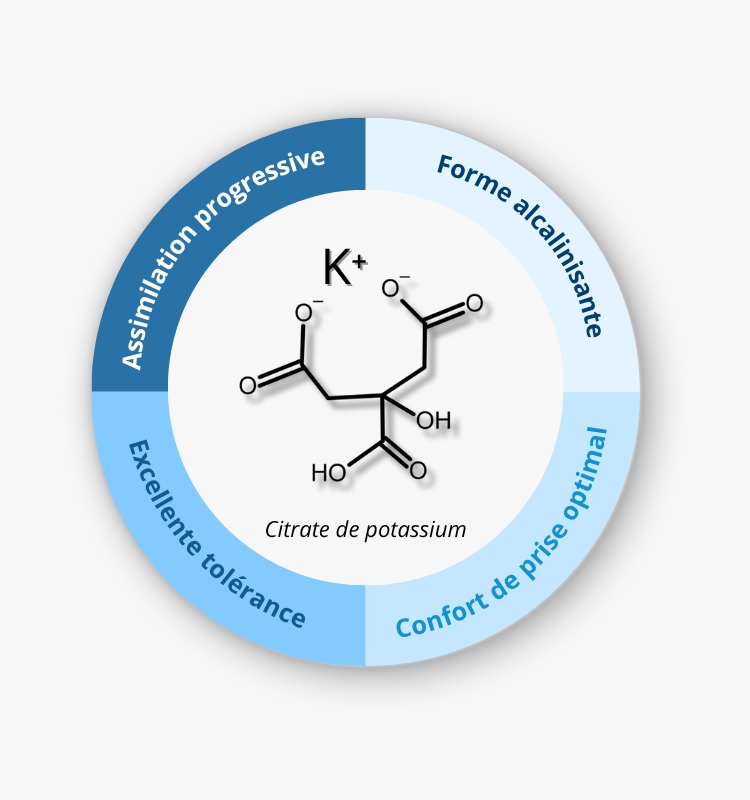 citrate de potassium, forme premium de potassium hautement biodisponible et bien tolérée
